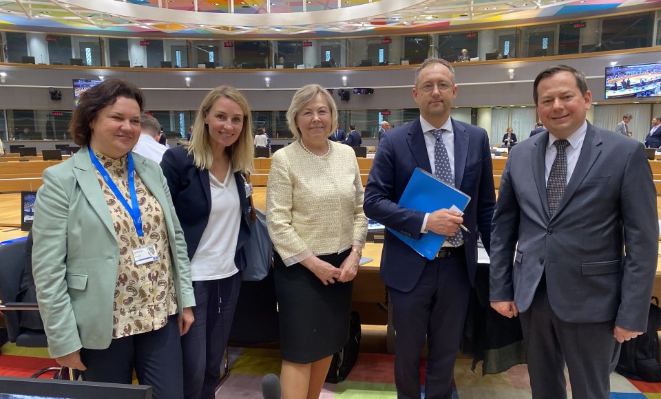 Viceministras S. Šatūnas: Ukrainos atstatymui svarbi apsauga nuo Rusijos karinių antpuolių