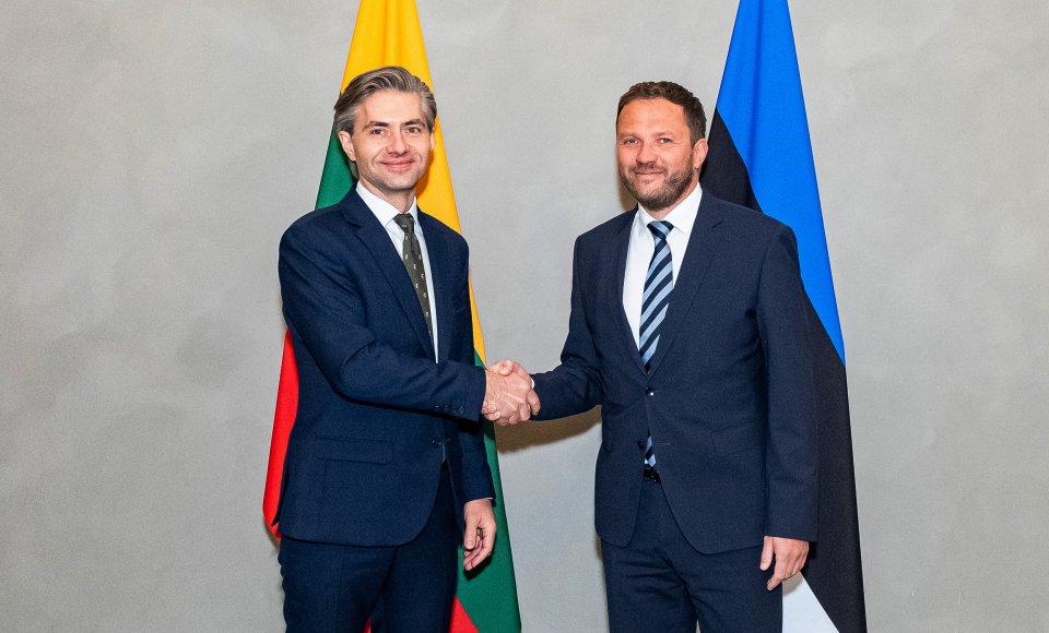 Budrys in Estonia: “The EU needs concrete measures to counter hybrid threats”