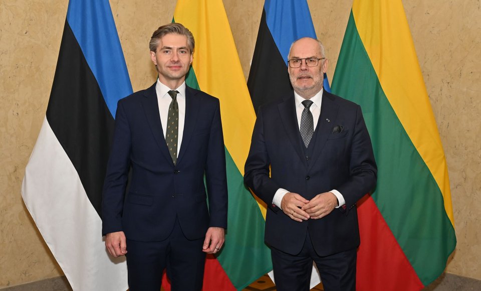 Le ministre lituanien des Affaires étrangères Kęstutis Budrys a rencontré le Président de l’Estonie