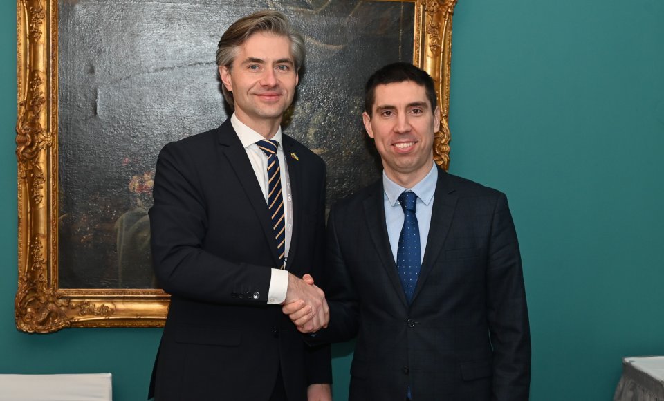 Budrys and his Moldovan counterpart discussed resilience to hybrid threats