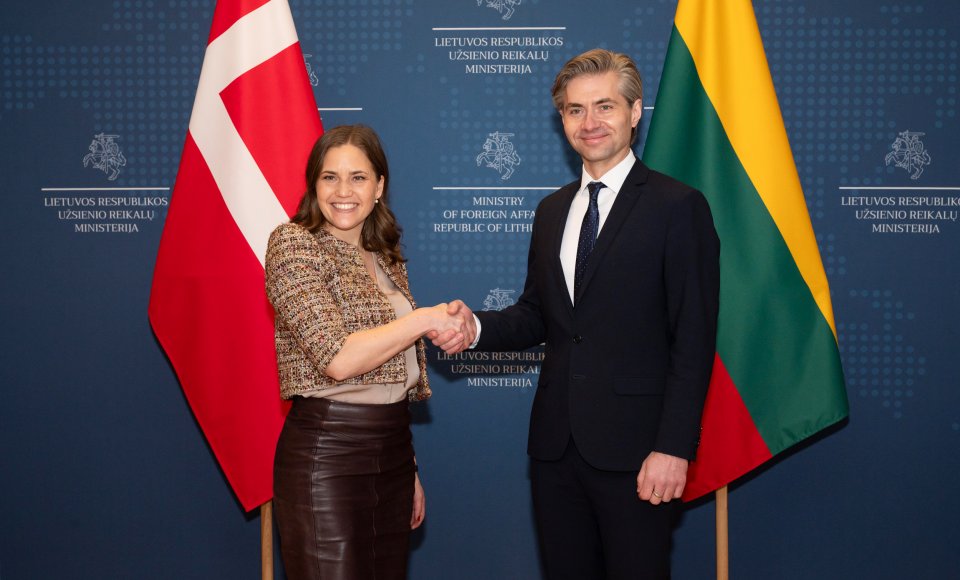 K. Budrys: Ukrainos narystė ES iki 2030 m. turi būti mūsų siekiamybė