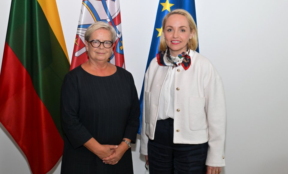 Viceministrė G. Grigaitė-Daugirdė: būtina stiprinti Europos saugumą, atsparumą ir užtikrinti visapusišką paramą Ukrainai