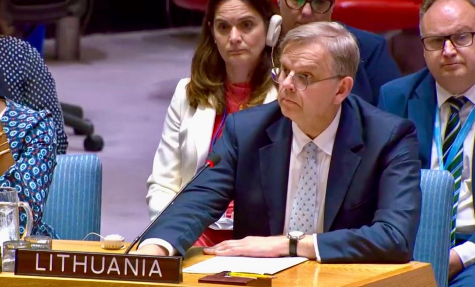 JT Saugumo Tarybos posėdyje Baltijos šalys pabrėžė tvirtą paramą Ukrainai