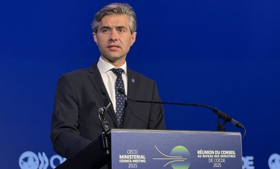 Le ministre Kęstutis Budrys à l’OCDE : nous devons aspirer à une meilleure résilience économique