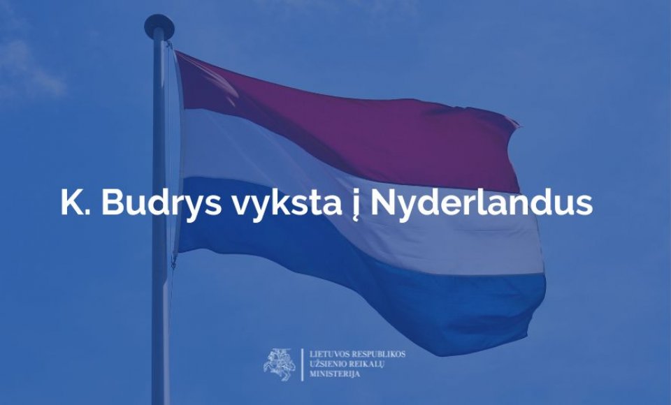 Ministras K. Budrys vyksta darbo vizito į Nyderlandus