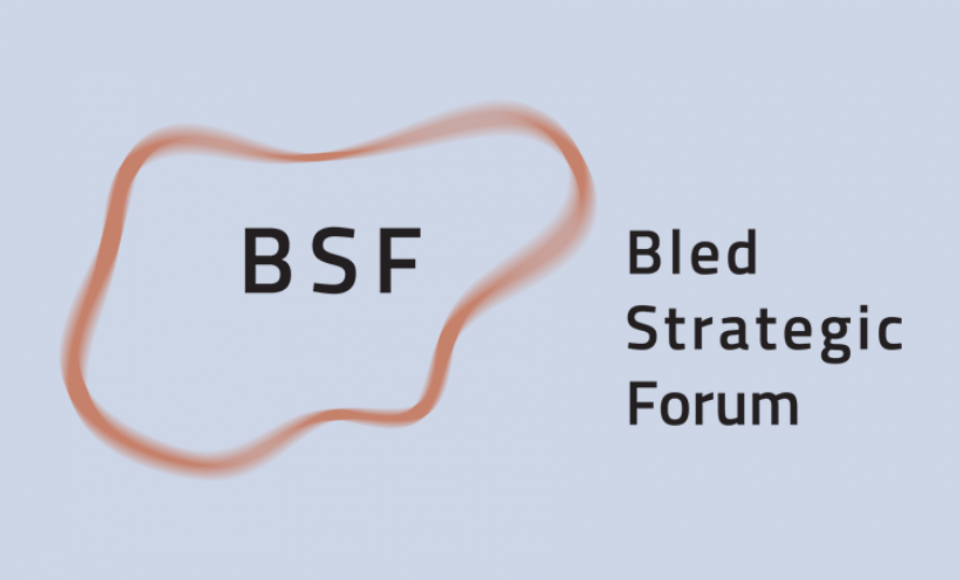 K. Budrys dalyvaus tarptautinėje konferencijoje „Bledo strateginis forumas“