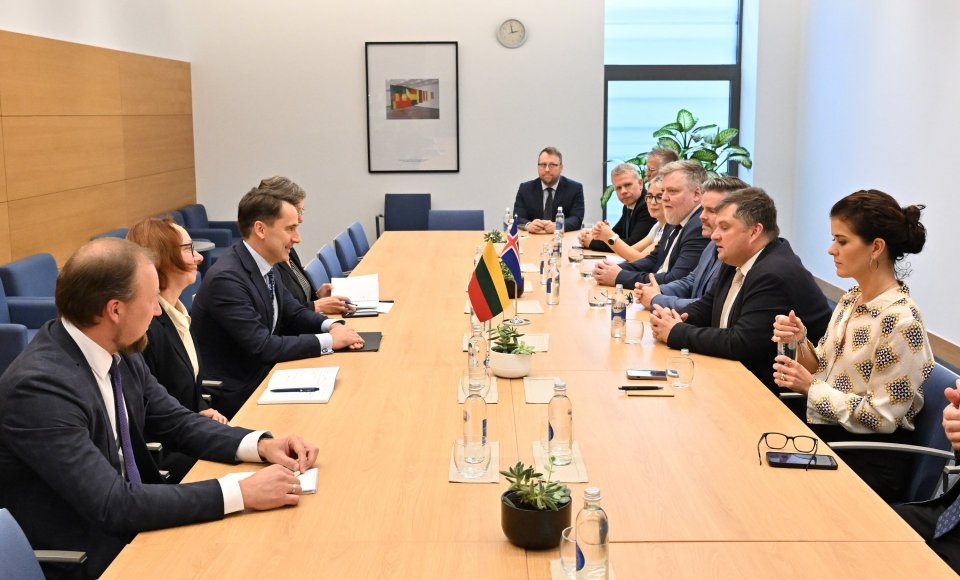 Viceministras S. Mitkus susitiko su Lietuvoje viešinčia Islandijos parlamento Užsienio reikalų komiteto delegacija