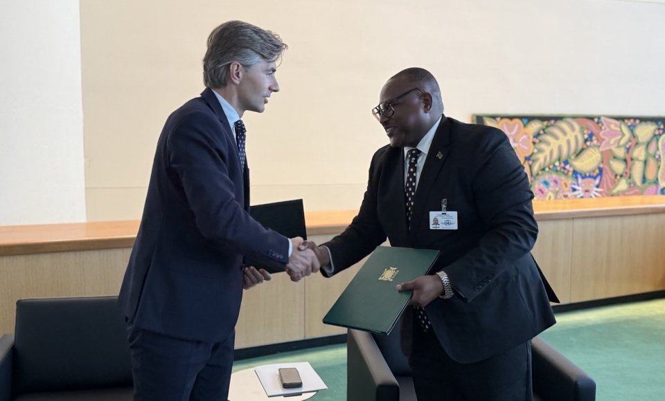Naujai besivystanti partnerystė: K. Budrys susitiko su Zambijos diplomatijos vadovu