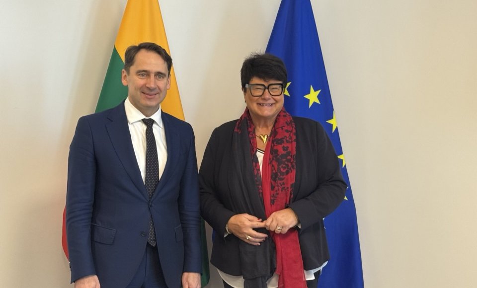 Vice-Minister Mitkus: It is crucial to ensure a coordinated response of the EU institutions to Belarusian hybrid provocations against Lithuania