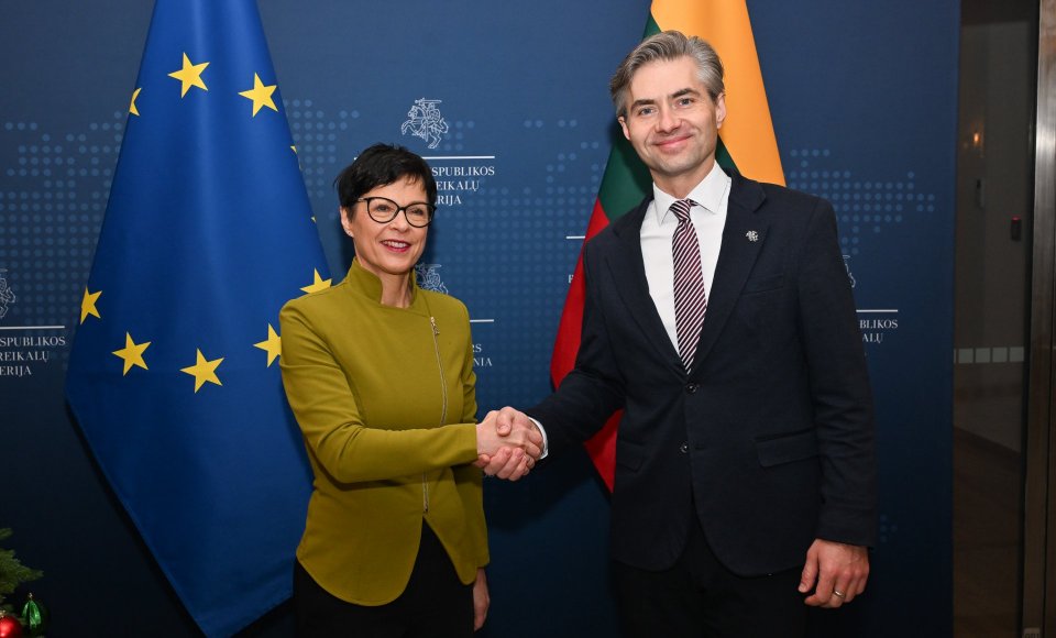 K. Budrys: ES plėtra – svarbiausias Europos geopolitinis instrumentas