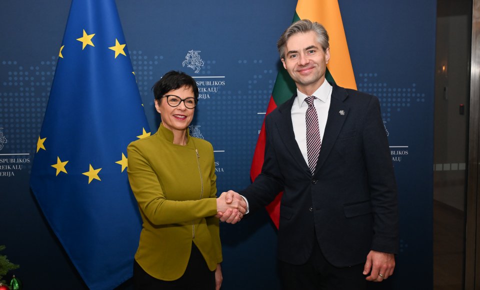 Budrys: EU enlargement – Europe's most important geopolitical instrument