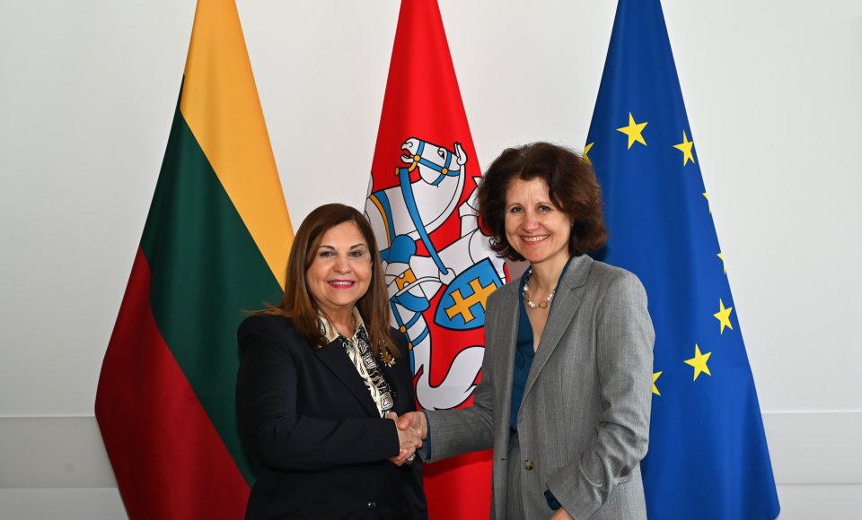 Vice-Minister Plepytė met with the new Ambassadors of the Dominican Republic, Ghana, and Malaysia