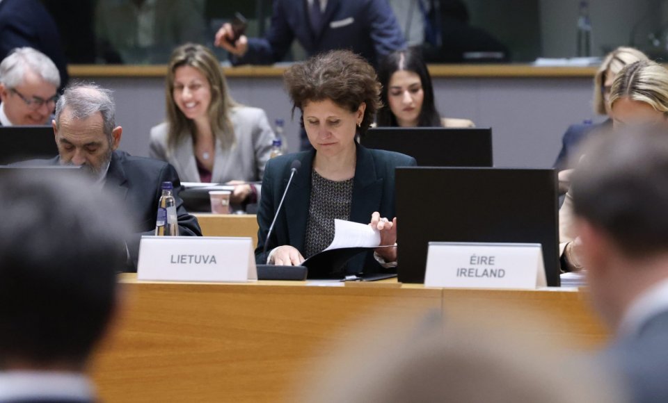 Viceministrė A. Plepytė Briuselyje: konkurencinga pramonė, atsparios tiekimo grandinės ir prekybos ryšių diversifikavimas – ES ekonominio saugumo pagrindas