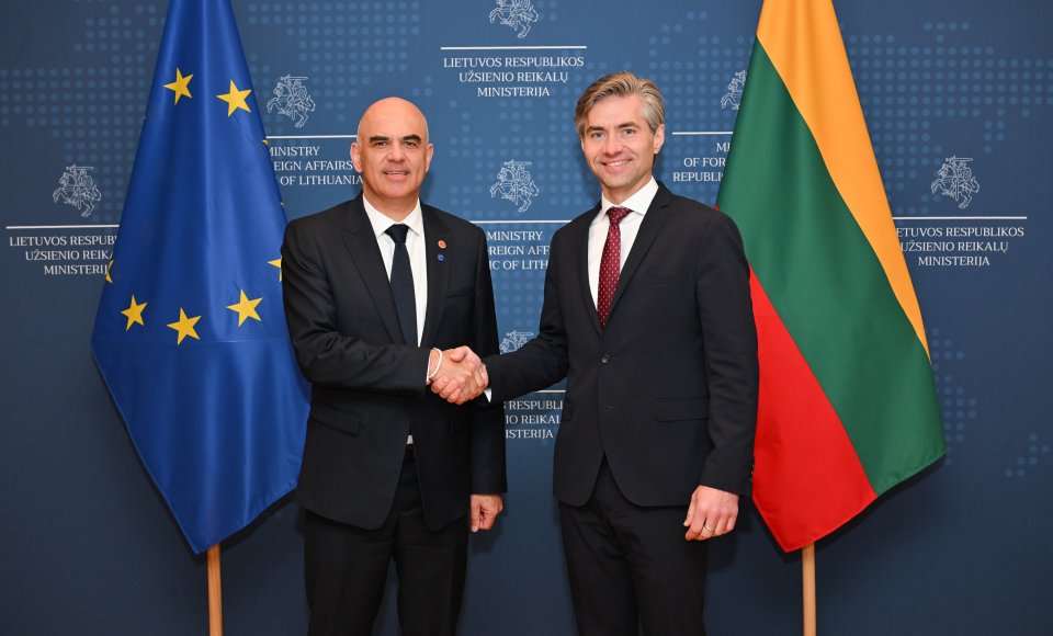 Budrys meets with the head of the Council of Europe