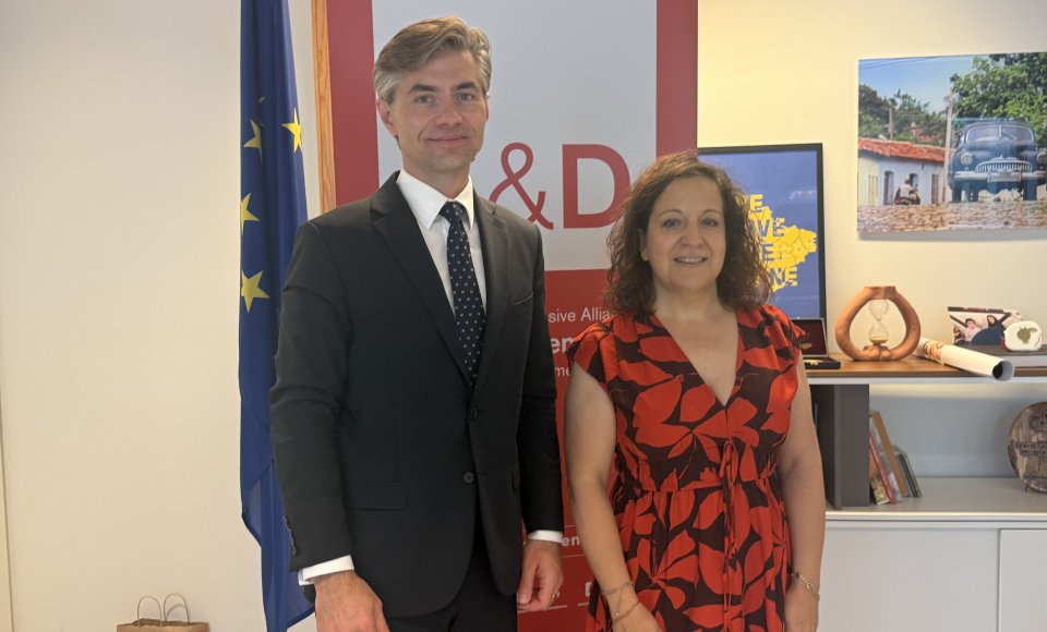Budrys discussed the priorities of the Lithuanian Presidency of the Council of the EU at the European Parliament
