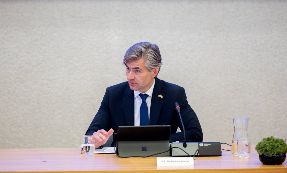 Budrys:  Lithuania will continue its comprehensive support for Ukraine to ensure it receives everything it needs to successfully defend itself and achieve a just and lasting peace