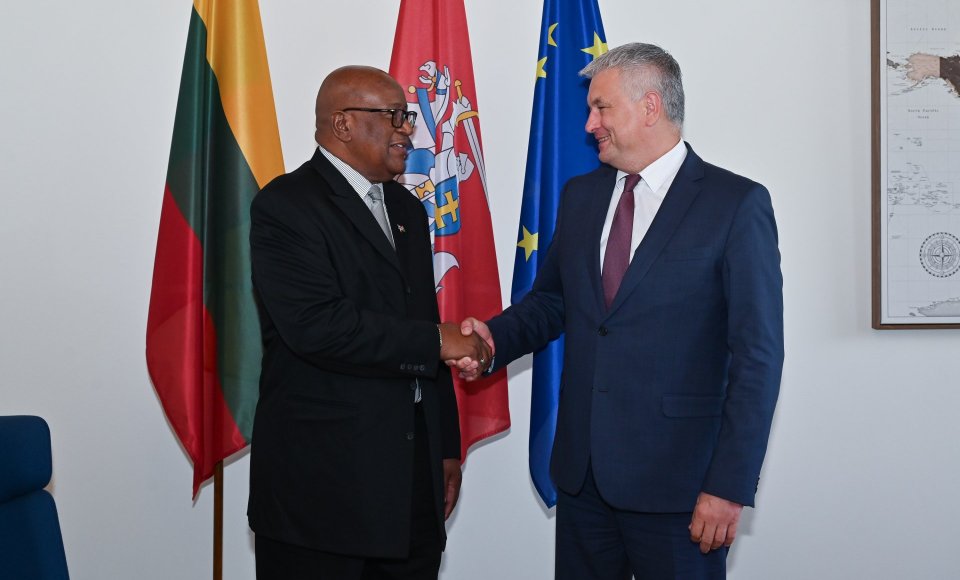 Viceministras V. Verbickas susitiko su Namibijos, Ekvadoro ir Gvatemalos ambasadoriais