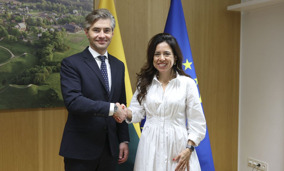 K. Budrys: Lietuva suinteresuota stiprinti dialogą su JAE