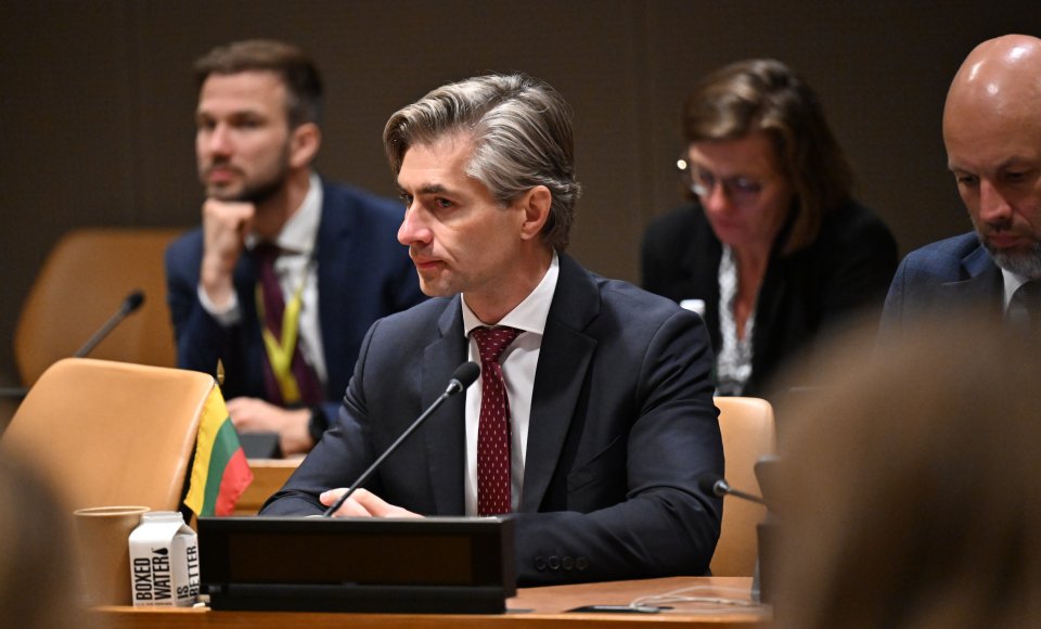Budrys in New York: Russia systematically tests NATO's alertness and readiness to respond
