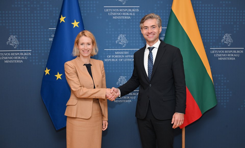 Budrys meets Kallas in Vilnius: Europe must take greater responsibility for its security and resilience