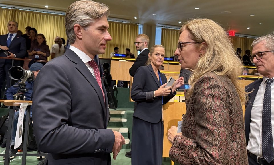 Budrys and the Deputy Prime Minister of Liechtenstein discussed support for Ukraine and bilateral cooperation