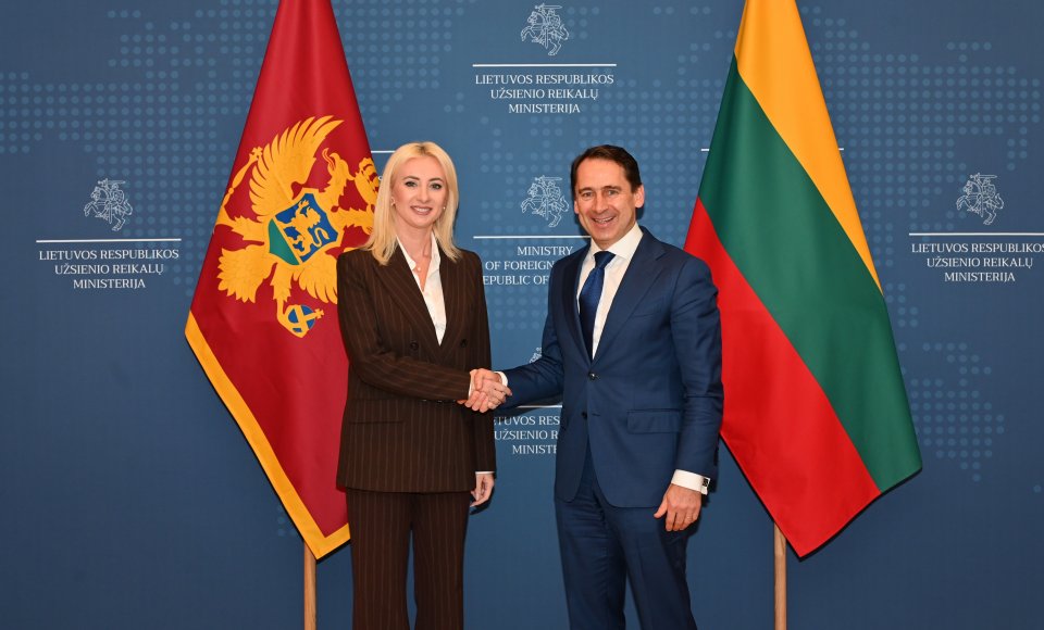 Mitkus and Gorčević discussed Montenegro's progress toward EU membership
