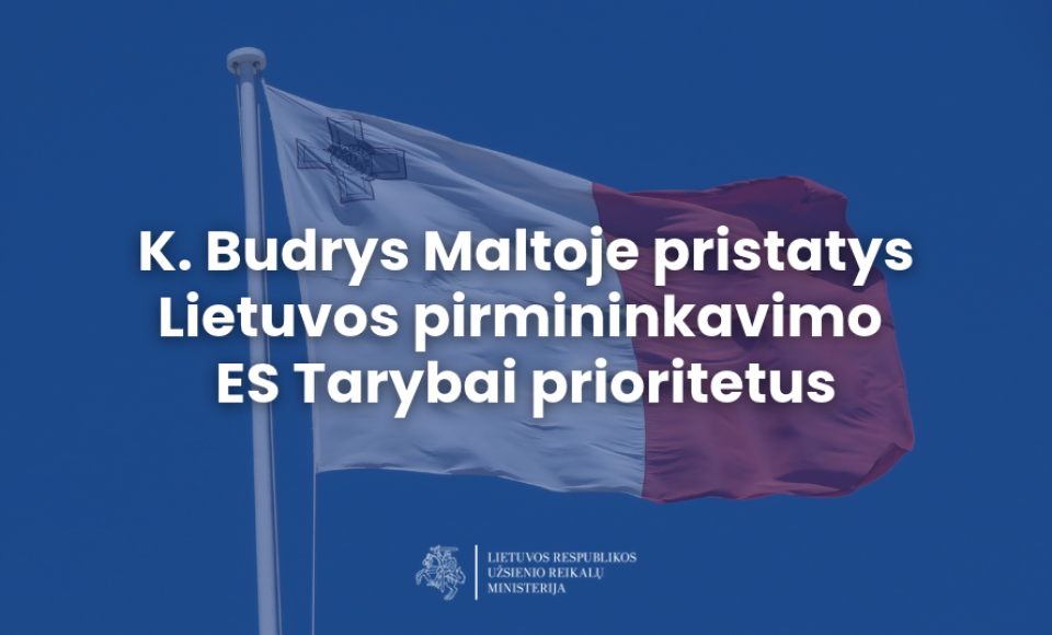 K. Budrys Maltoje pristatys Lietuvos pirmininkavimo ES Tarybai prioritetus